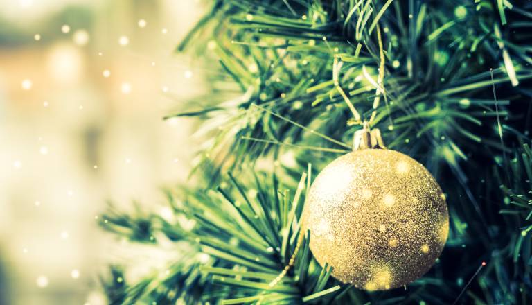 VIDEO: Kupil božično drevo, doma pa doživel šok: »Je to šala?«