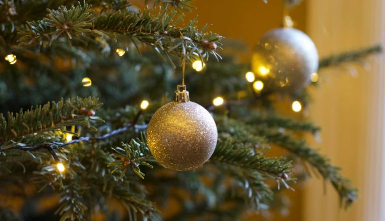 VIDEO: Kupil božično drevo, doma pa doživel šok: »Je to šala?«