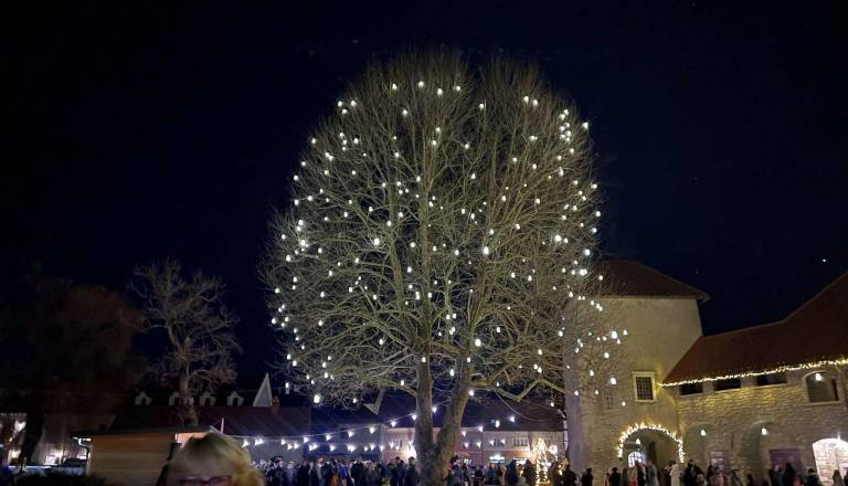 Kavarna na dvorišču ribniškega gradu spet odprta, a pozor, ne vsak dan!