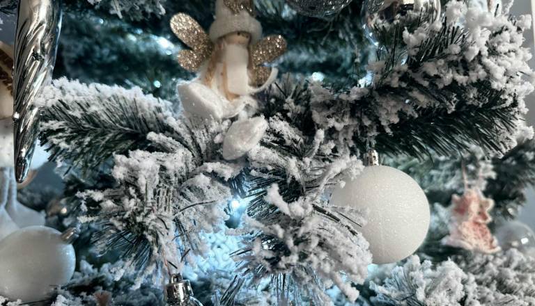 VIDEO: Kupiš božično jelko, dobiš pa mikrodrevesce: Posnetek, ki je nasmejal svet