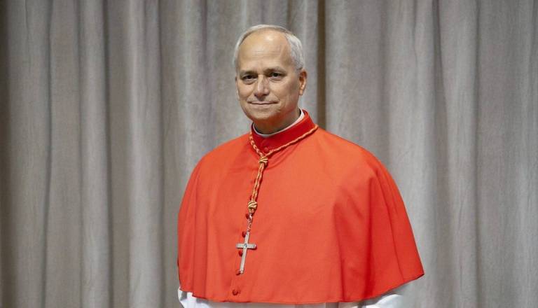 Kaj papež Leon XIV. počne sredi noči? 