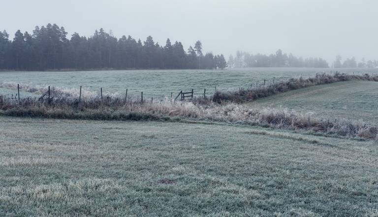 Megla bo zaznamovala konec tedna, kaj sledi v začetku tedna?