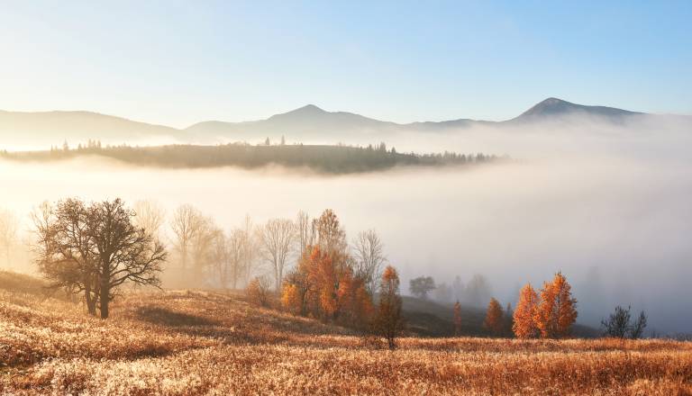 Konec tedna v megli, ali se bo vreme v začetku tedna spremenilo?