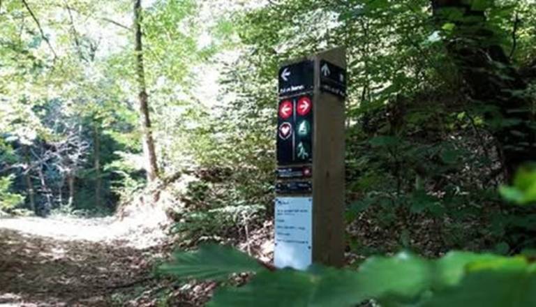 Na Poti na Golovec postavili števec prometa, merili bodo tudi hitrost voznikov