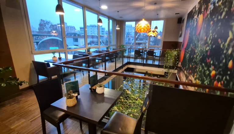 FOTO in VIDEO: Vrata v Murski Soboti odprl Filke Jungle bar, pokukali smo v notranjost