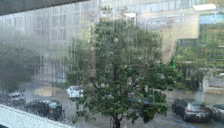 Med čiščenjem oken padla z lestve 