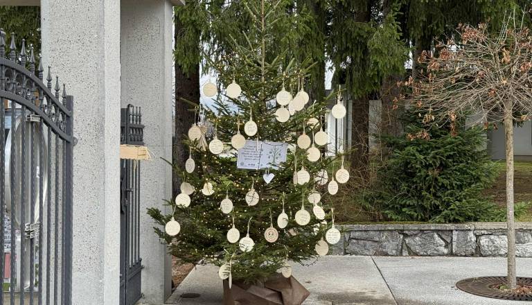 FOTO: Na kočevskem pokopališču nastaja prostor spomina, hvaležnosti in povezanosti