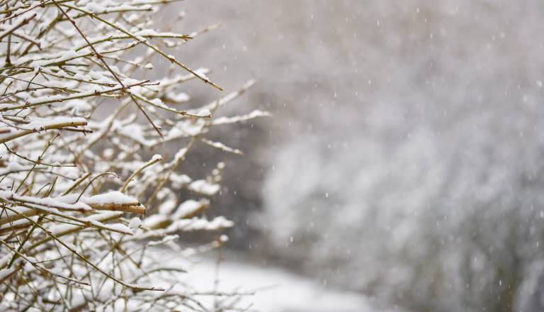 Meja sneženja se spušča