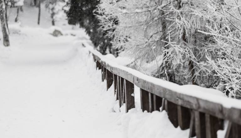 Prihaja zimsko vreme: Padavine in okrepljen veter