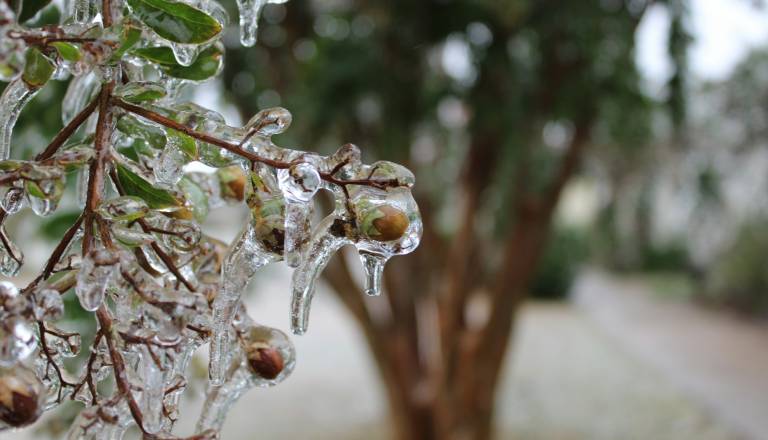 Pozor! Začelo je deževati, na Pohorju nastaja žled