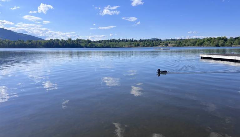 Prodajajo se zazidljive parcele ob Kočevskem jezeru, toliko stane kvadrat
