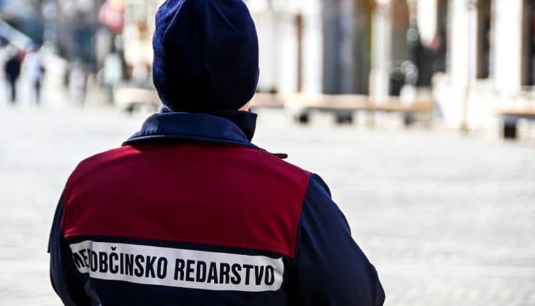 Nad tegobe, ki pestijo Mirno: Psi brez povodcev in neupoštevanje prometne signalizacije