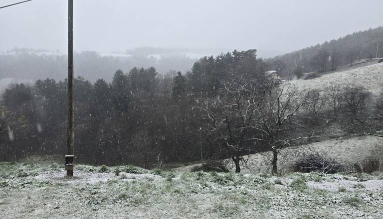 VIDEO: Sneženje se stopnjuje, največ ga pričakujejo na vzhodu države