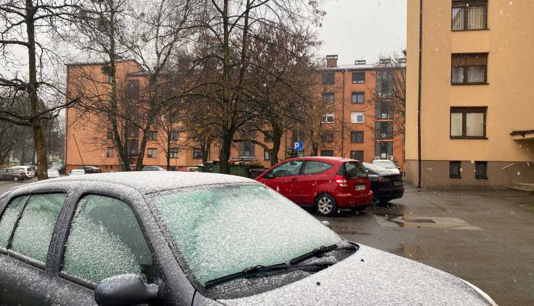 FOTO in VIDEO: Napovedi so se uresničile! Na Ptuju sneži, upanje na bel božič ostaja
