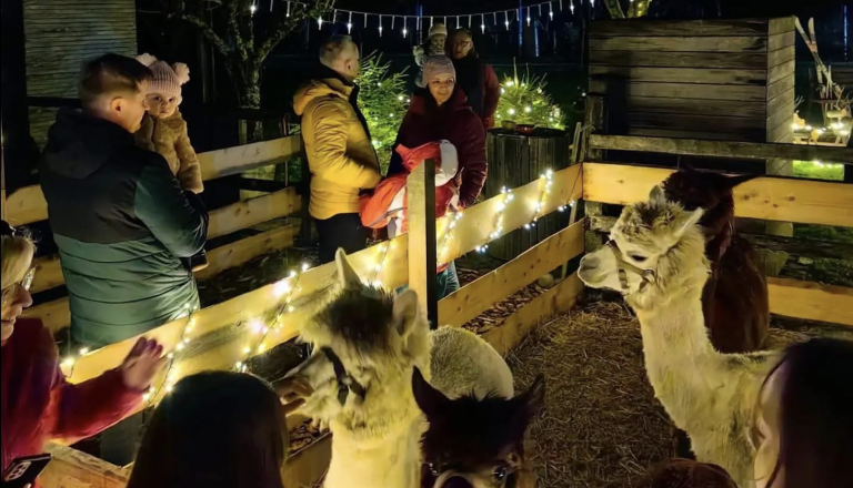 Praznična vasica na Dolenjskem z lučkami, alpakami in Hišico želja