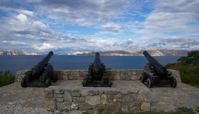 Priprave na obvezno služenje vojaškega roka v polnem teku