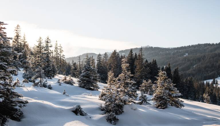 FOTO: Bel božič je razveselil Slovenijo, kakšne vremenske razmere sledijo?