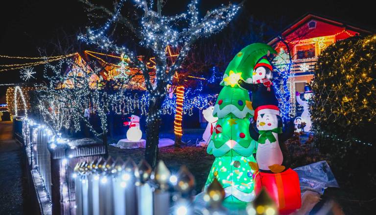 FOTO: Stanovalci v Spodnjem Dupleku sami ustvarili pravo božično pravljico