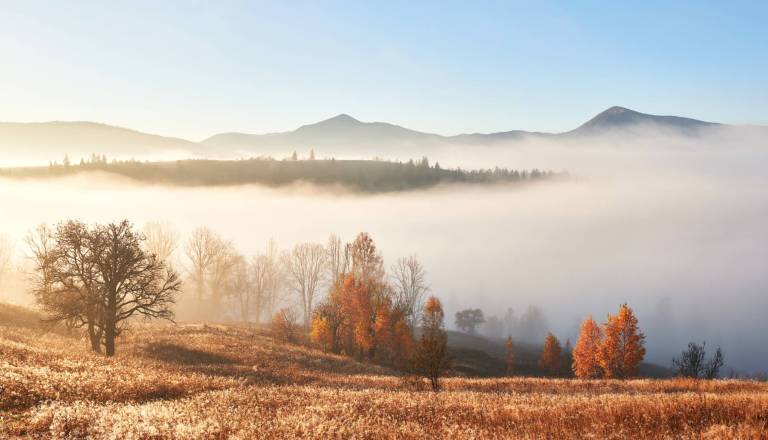 Meglena jutra in nizke temperature: Preverite, kakšno vreme nas čaka v prihodnjih dneh