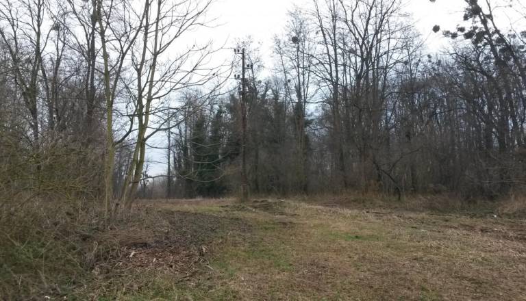 NLB prodaja zazidljivo zemljišče na robu Kidričevega