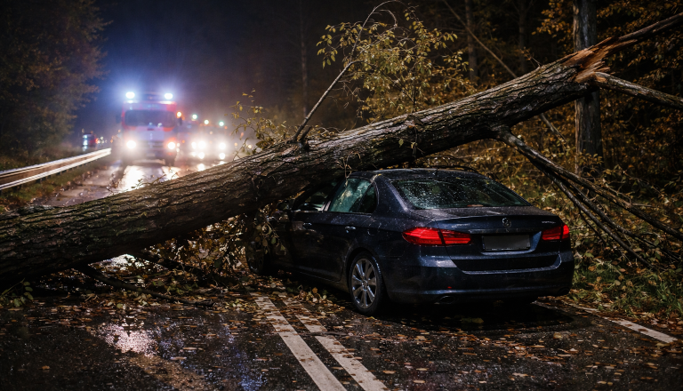 Tragična nesreča pri Krškem: na avtomobil padlo drevo, 57-letnica umrla