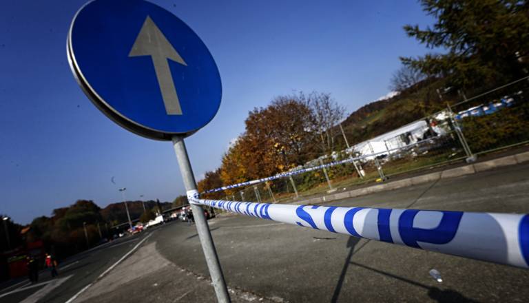 Na avtomobil padlo drevo, 57-letnica umrla