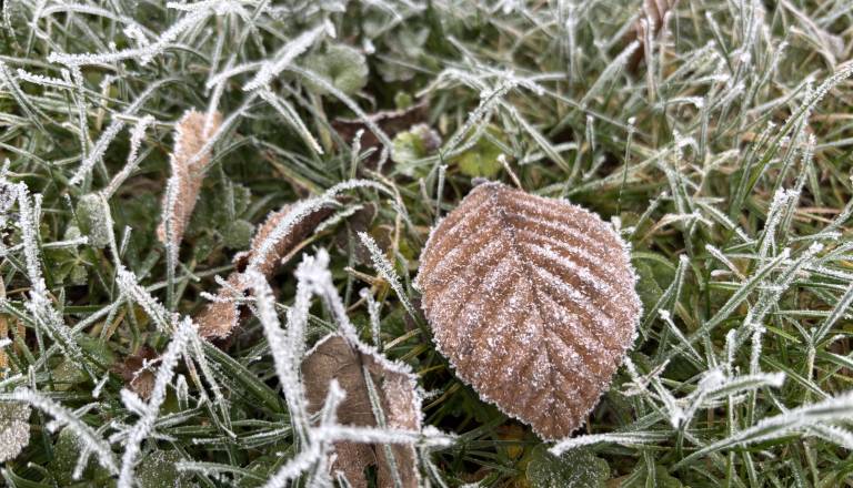 kakšno vreme nas čaka za najdaljšo noč v letu?