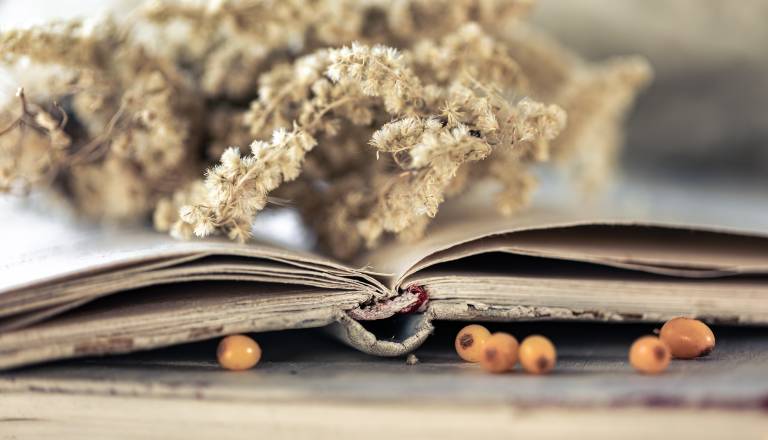 Priložnost za ustvarjalce vseh generacij na temo sreče