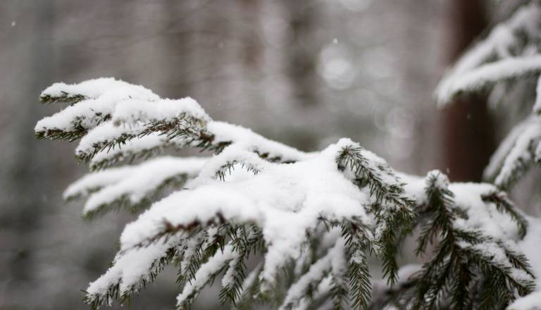 Jutri tudi do minus 15 stopinj Celzija, možne večje količine snega 