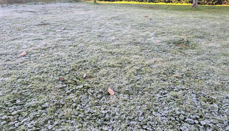 Mrzlo jutro po vsej Sloveniji, temperature krepko pod ničlo