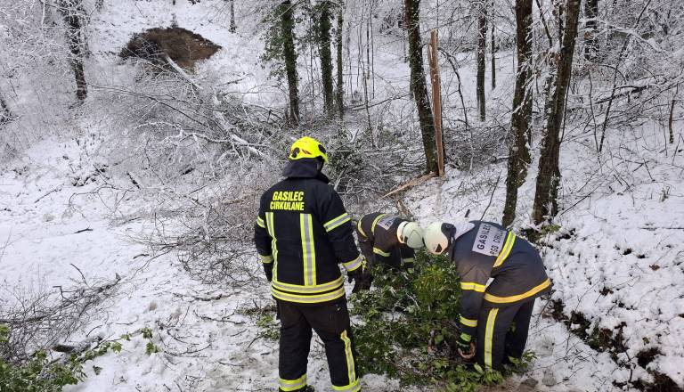 Elektro Maribor o električnem mrku: Večkrat smo bili primorani prekiniti delo zaradi padanja dreves, ki so ogrožala ekipe