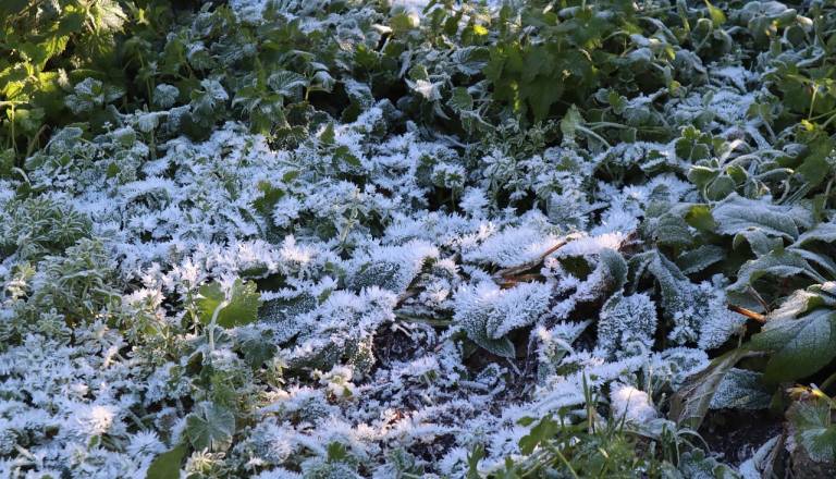 Mrzlo jutro na Ptuju, temperature krepko pod ničlo