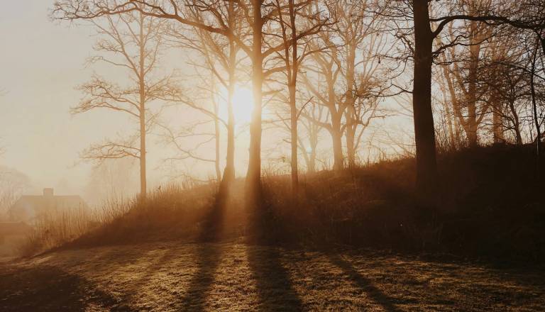 Skrivnosti zimskega neba: V pričakovanju najhitrejšega zahoda Sonca, zimskega solsticija in božiča