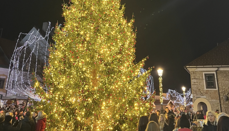 FOTO: Praznični utrip v Novem mestu, prižgali lučke in odprli drsališče