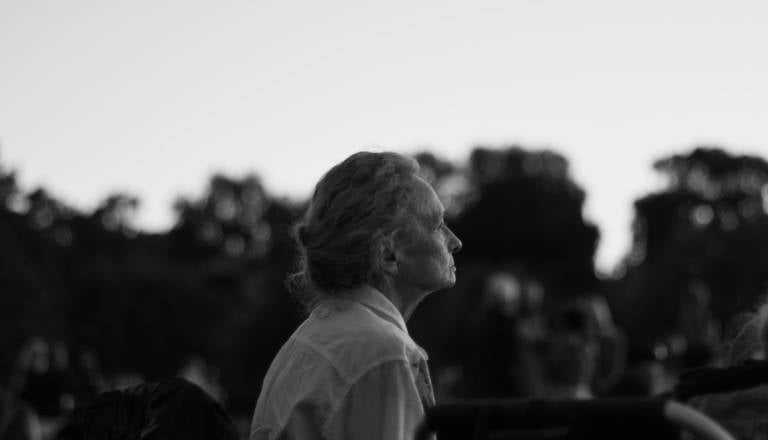 Za zaprtimi vrati: Starejše ženske žrtve prikritega nasilja