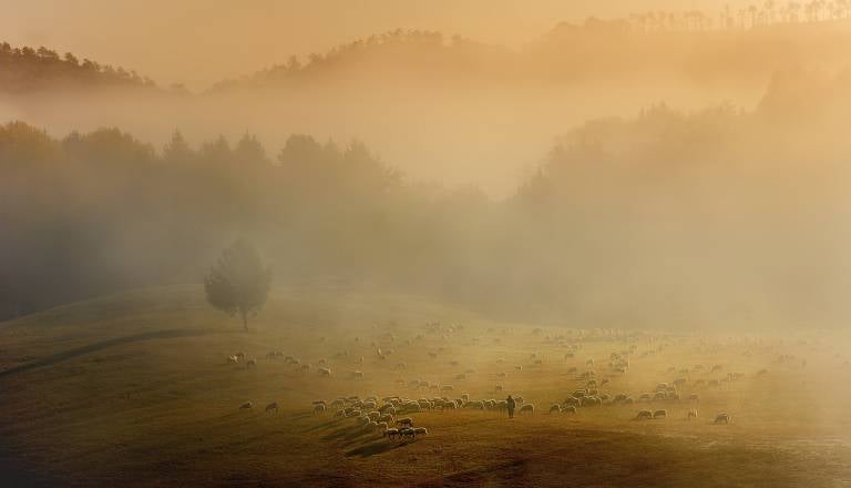 Prihaja sprememba vremena, kako bo videti začetek tedna?