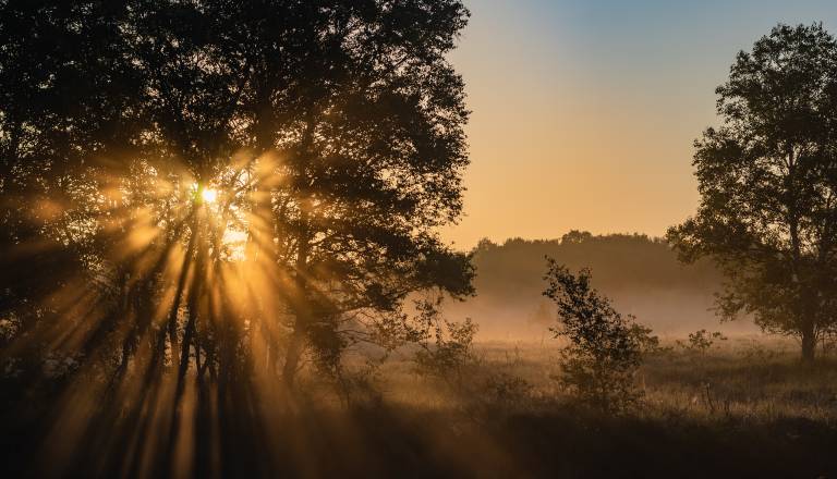 Prihaja vremenski preobrat, kakšno vreme prinaša za začetek tedna?