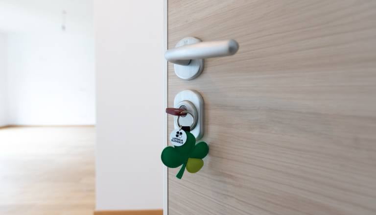 Novoletni Loto razprodan v osmih dneh