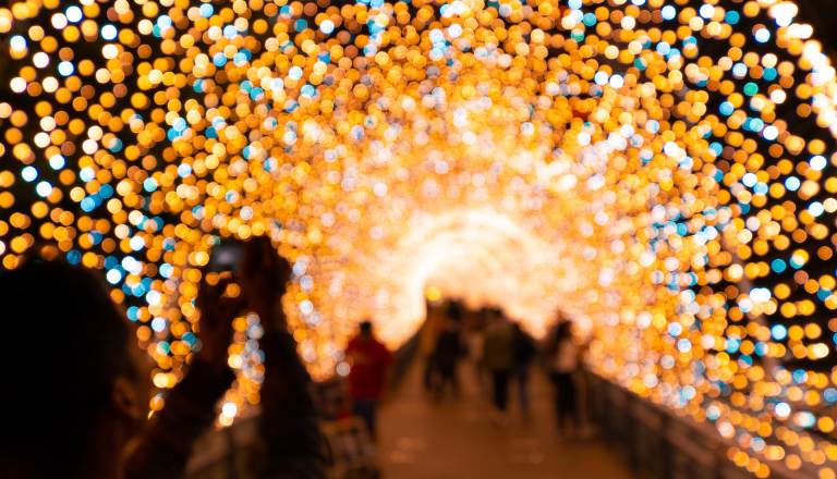 PODALJŠANO: Predlagajte, kje na Dolenjskem je naj okrašena izložba