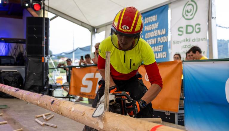 Gozdarski spektakel leta: šov spretnosti in moči v Šentjerneju