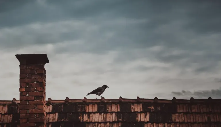 Povišane ravni delcev v zraku, stanje najslabše v Murski Soboti