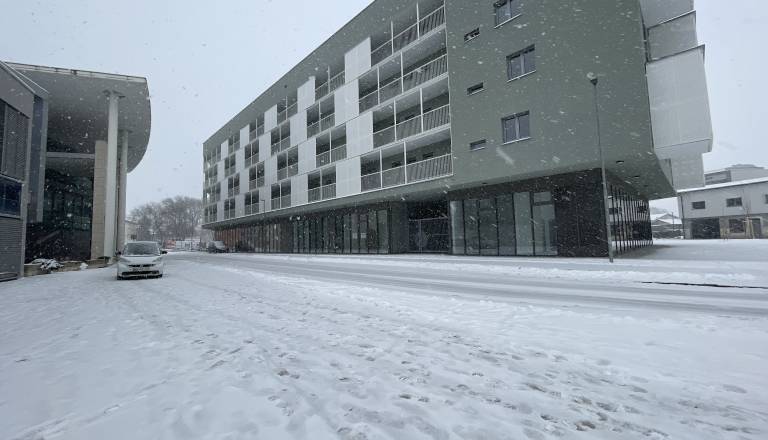 Mraz spet stiska! Zjutraj živo srebro do minus 12