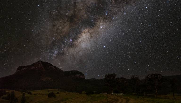 Nemški center lani zabeležil rekordno število opažanj NLP