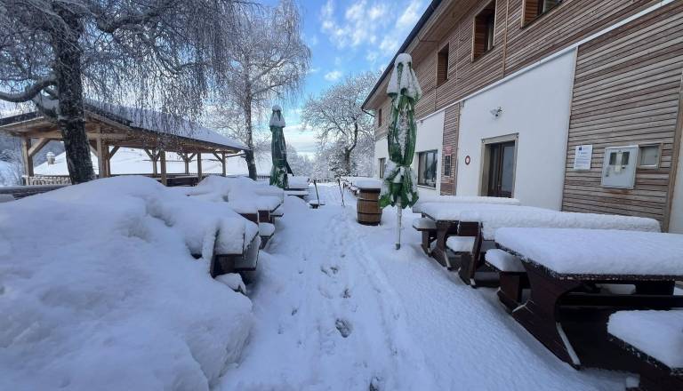 Psi prepovedani v koči na Boču, lastniki razočarani zaradi odziva javnosti
