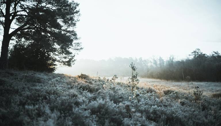 Jutranje temperature krepko pod ničlo, tako hladno je bilo na Ptuju