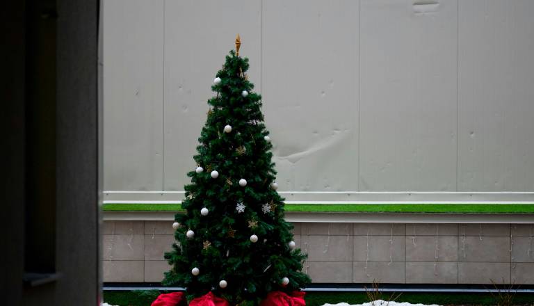 Po praznikih ne v smeti. Kam sodijo božične smrečice?