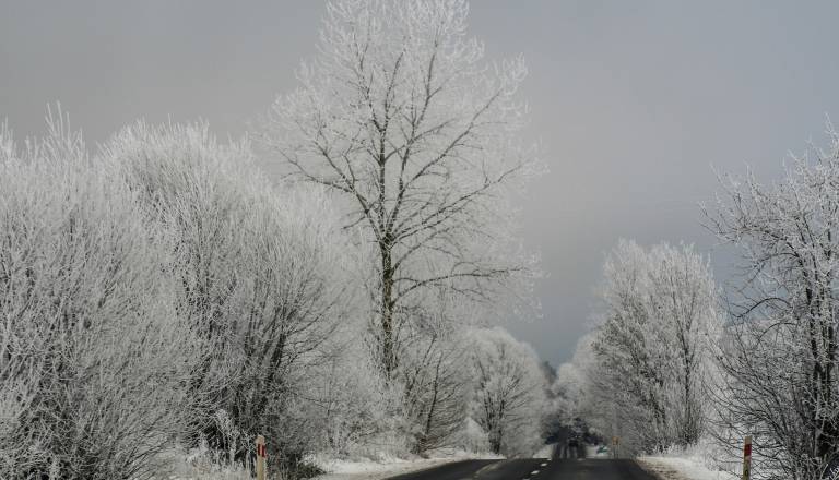 Jutranje temperature krepko pod ničlo, kje je bilo najhladneje?