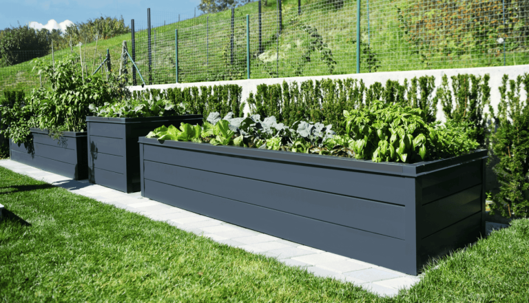 Visoke grede iz pločevine: trpežna rešitev za lepši in trajnejši vrt