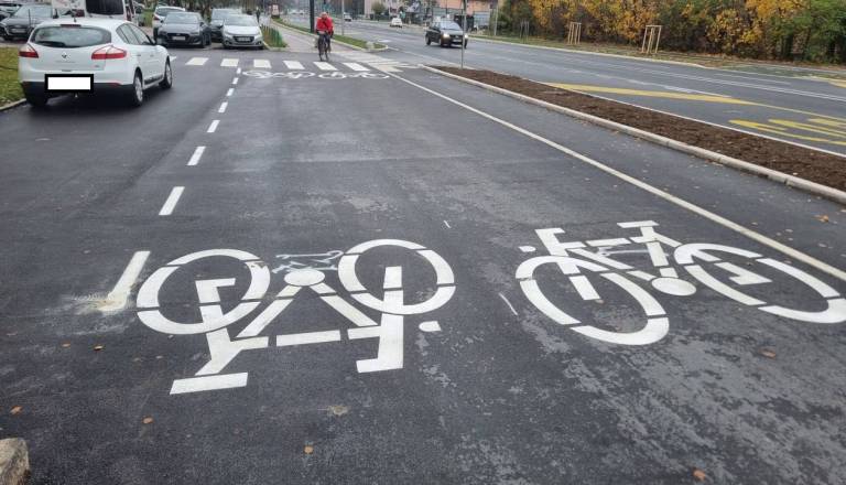 Zeleni pasovi namesto širših poti? Prenova Linhartove deli mnenja