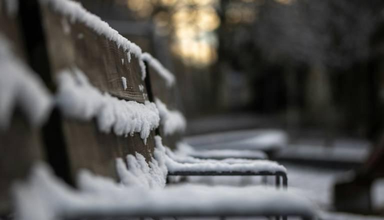 Zimsko odstranjevanje sedal klopi razburja Bežigrajčane